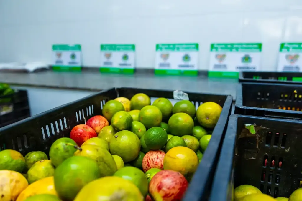 Osasco assume vice-presidência de colegiado nacional sobre segurança alimentar osasco-assume-vice-presidencia-de-colegiado-nacional-sobre-seguranca-alimentar